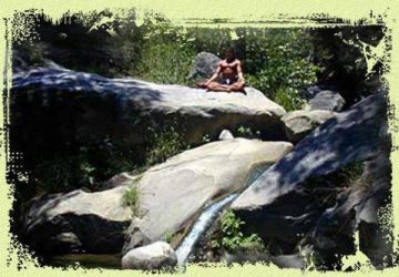 White lotus Foundation