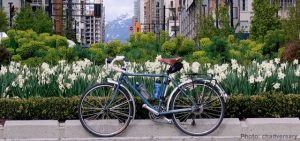Bike Butler, gratis cykel på hotel