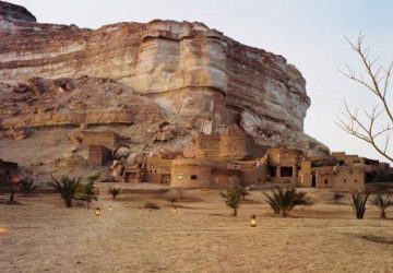 AdrereAmella-ecolove