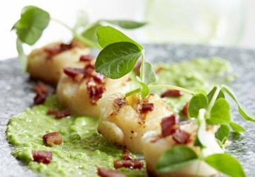 Kammuslinger med ærtecreme og sprød parmaskinke