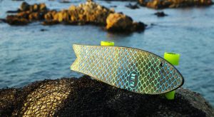 Minnow, skateboard af fiskenet