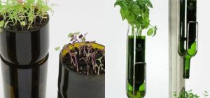 My Little Garden - Nyt liv tip Vinflasker