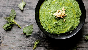 Brændenældepesto