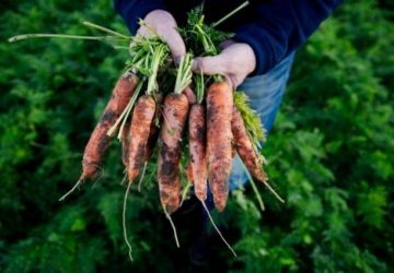 Produktionsskole Hanstedholm-ecolove.dk