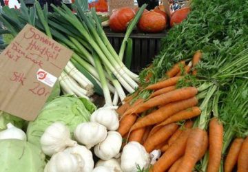 Ornebjerg Biodynamiske Gartneri