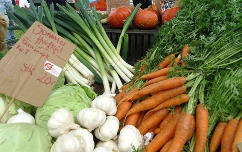 Ornebjerg Biodynamiske Gartneri