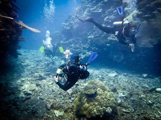 mai-dive-astrolabe-reef