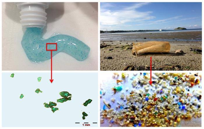 idiom Morgen Skulle Miljøministeren siger nej til mikroplastik - EcoLove