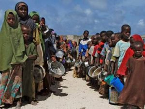 thepouncer-ecolove-dk