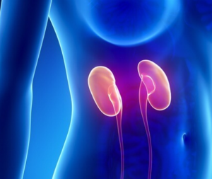 skaermbillede-2016-11-28-kl-13-10-22