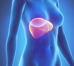 skaermbillede-2016-11-28-kl-13-16-33