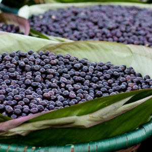 acai superfood
