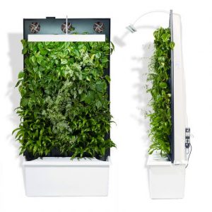 plantevæg-ecolove