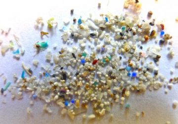mikroplast - ecolove