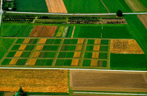 Økologisk landbrug begrænser klimaændringerne