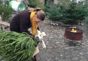 De Skovbrugsstuderendes Juletræssalg