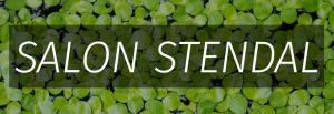Salon Stendal Green by heart