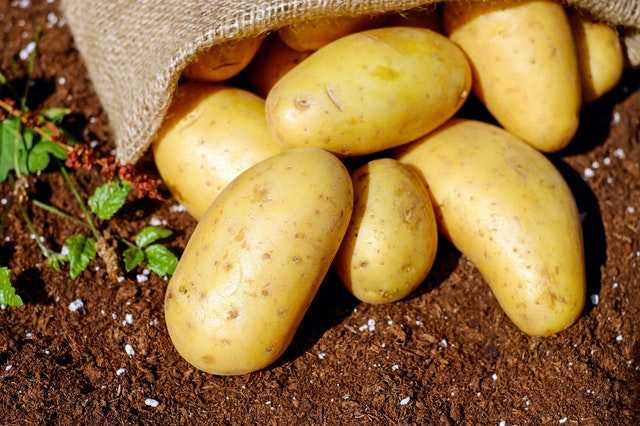 Kartofler: en livsvigtig fødevare