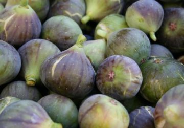 Figner og hvorfor du bør spise dem!