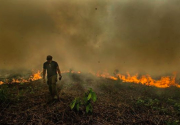 Amazon i brand: Jorden er ikke ved at dø - den bliver langsomt dræbt