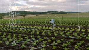Robot gør øko landbrug smartere