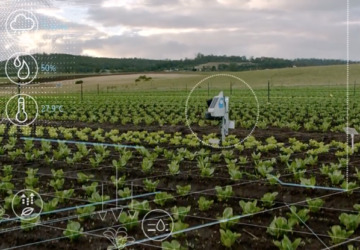 Robot gør øko landbrug smartere