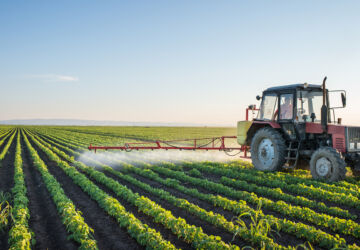 GMO og giftige pesticider
