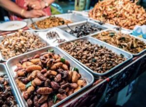 Undgå insekter i din mad