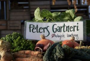 Peters Gartneri